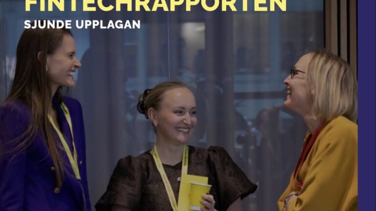 İsveçli fintech şirketi logo